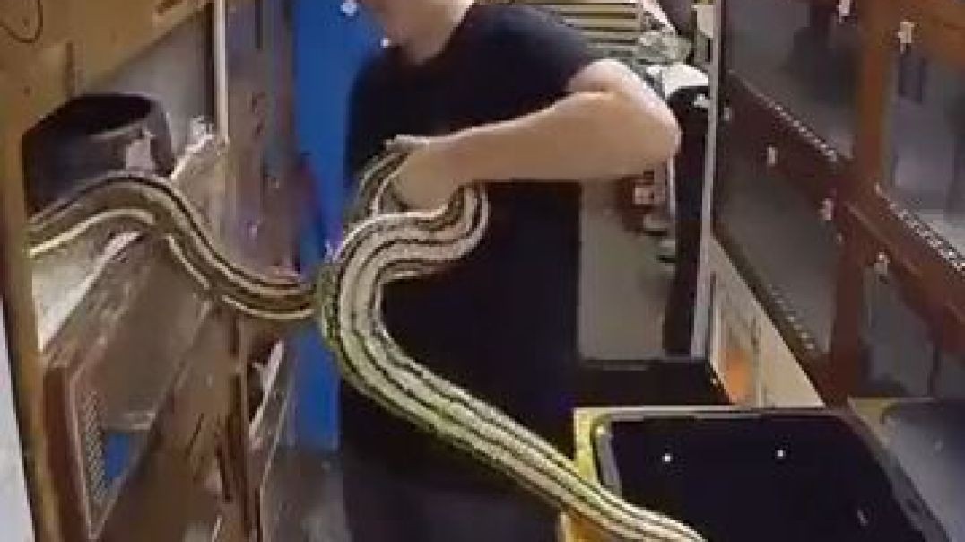 ⁣f you snake